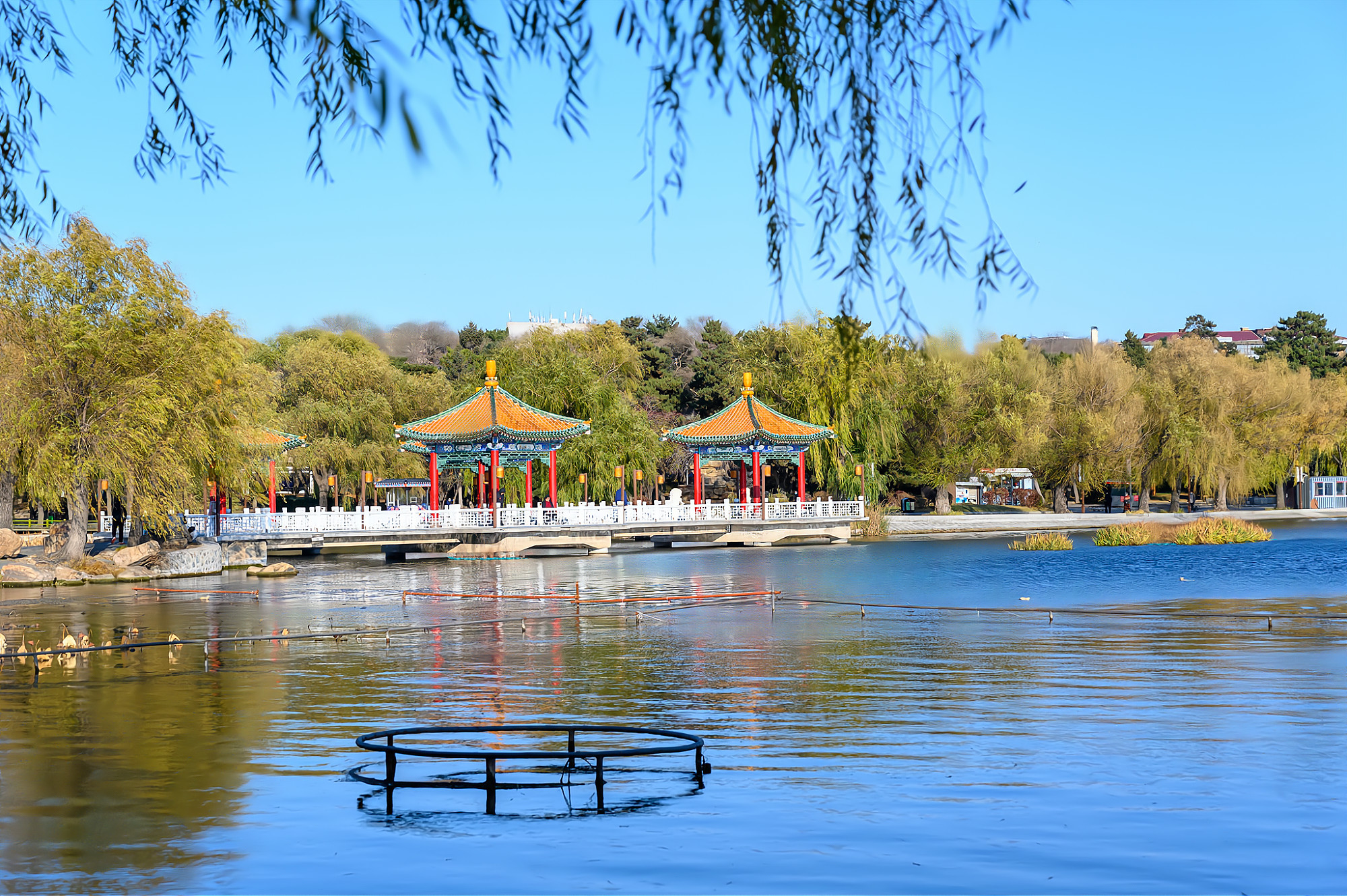 长春南湖公园景观简介,长春南湖公园都有哪些美景