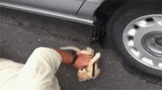 鑷粠鏈変簡鐚不鎰堜簡鎴戠殑鎳掓儼,涓轰粈涔堣姗樼尗鍗佹涔濇福