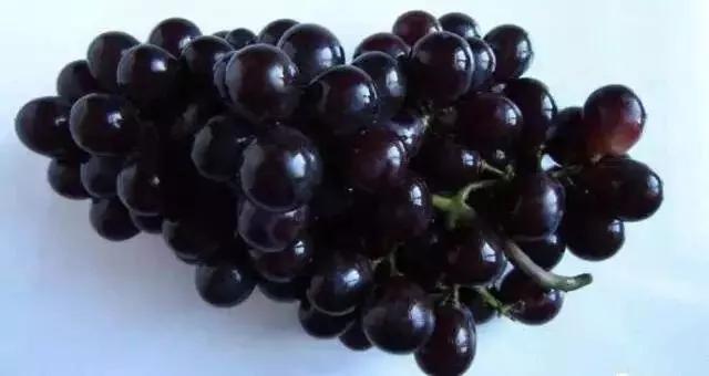 各种顽固污渍和铁锈洗衣神器,教你在家制作懒人洗衣神器