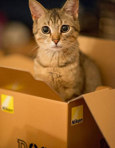 录屏视频上传抖音变模糊怎么解决,影视剪辑高清上传抖音就模糊了