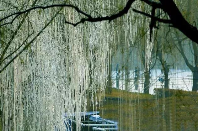 雾凇之美宛若仙境,连云港花果山雾凇美得像仙境