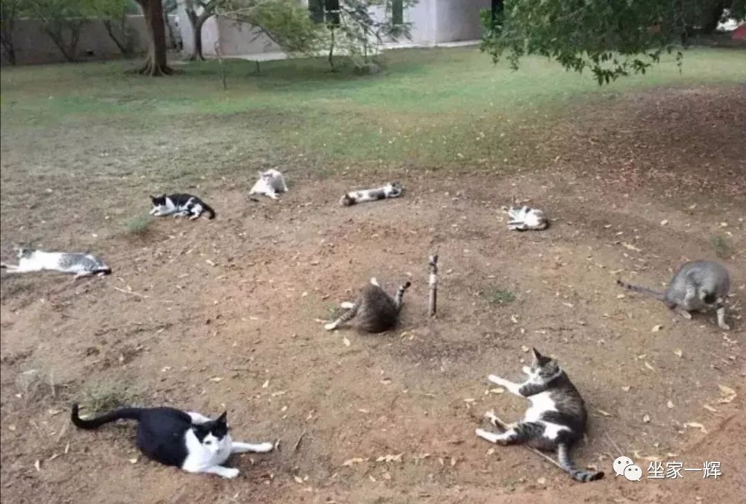 30种网赚骗术套路揭秘超深度干货,常见的20种网赚骗术揭秘