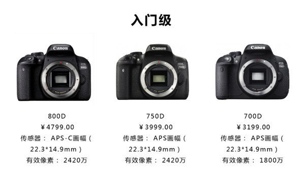 摄影教程30天0基础变身摄影达人,超全的摄影干货