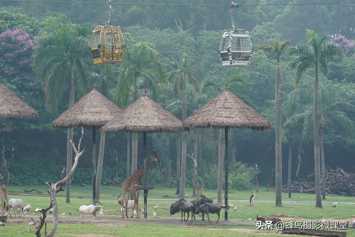 索尼sel200600g配什么相机,索尼sel200600g