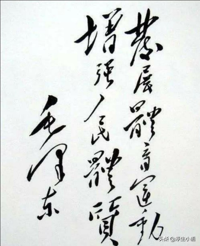 给中国足协陈主席一封信:不惜代价豪赌世界杯是急功近利舍本逐末