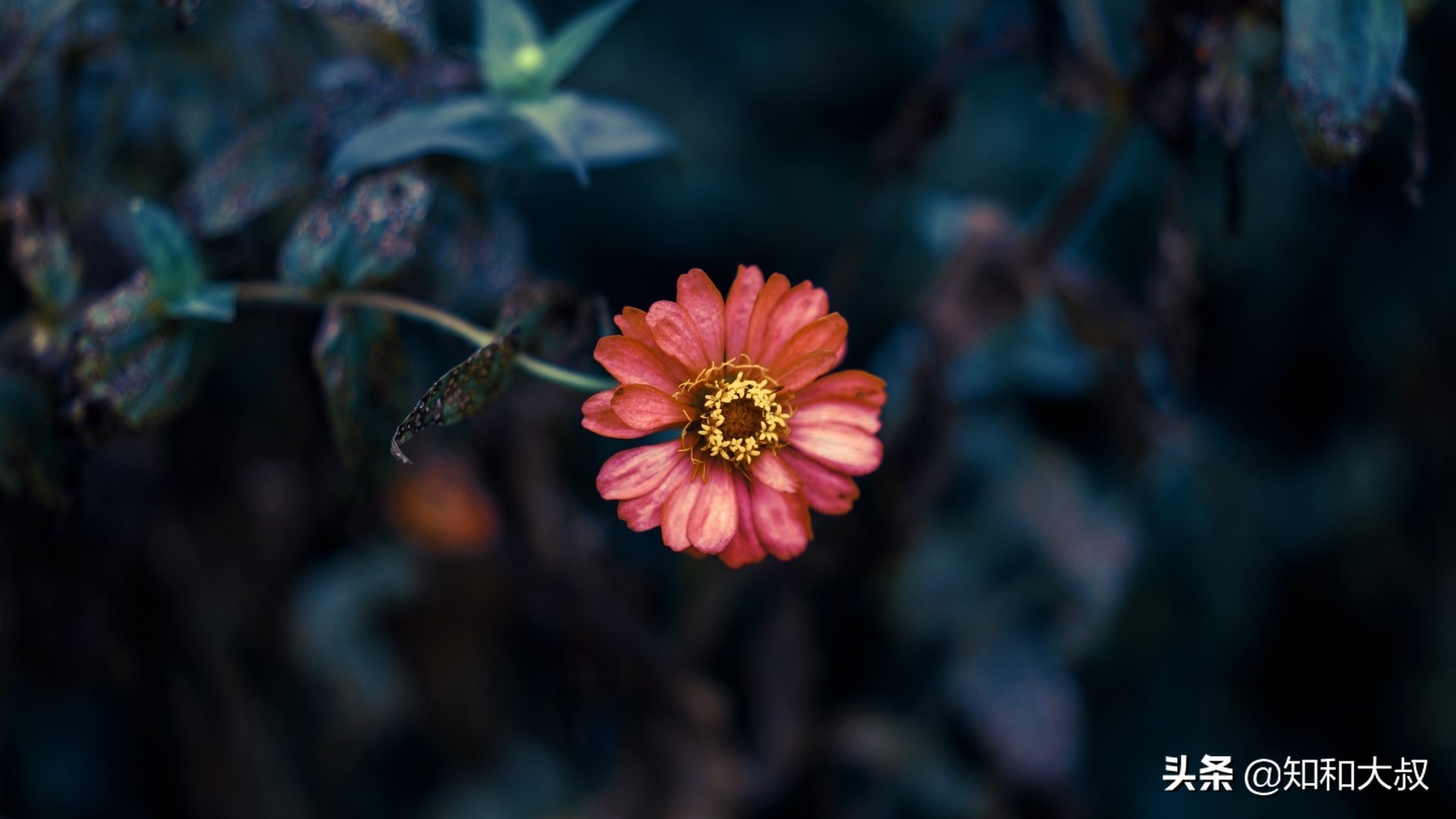 不哭不闹的女人才让人害怕,不哭不闹的女孩反而没人疼没人爱