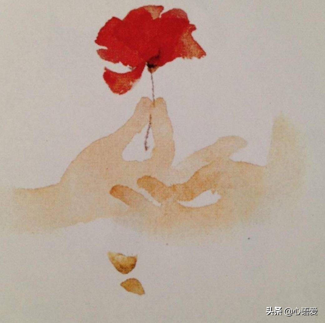 育儿书目窗边的小豆豆,窗边的小豆豆印象深刻的故事