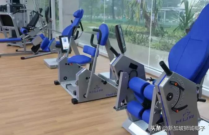 新加坡旅游攻略推荐花园,新加坡花园最新消息