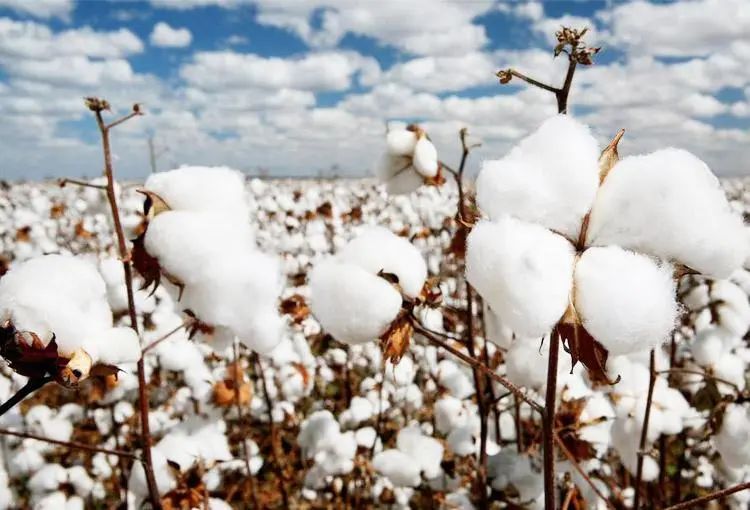 夏天盖着凉快的被子面料,夏天盖的空调被子
