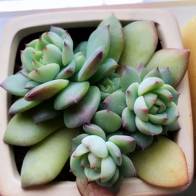 顺风不浪逆风不怂文字图片,顺风不飘逆风不怂绝境不慌