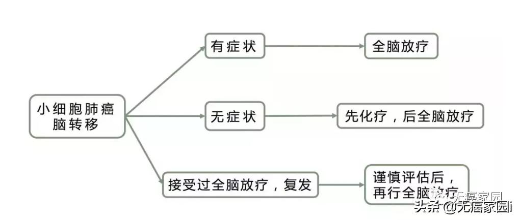 大细胞肺癌脑转移寿命一览表,肺癌转脑生存期