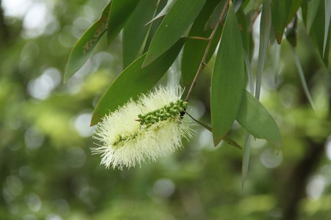 精油一般保质期多长时间,精油的有效期限是多久