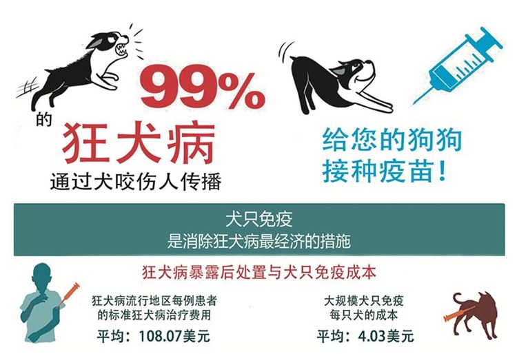我10岁的时候被狗咬过,10岁那年被狗咬了原视频