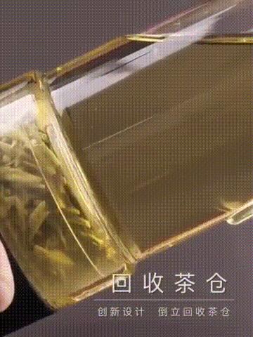 茶水分离泡茶磁吸杯,便携透明磁吸茶水分离杯白盖300ml