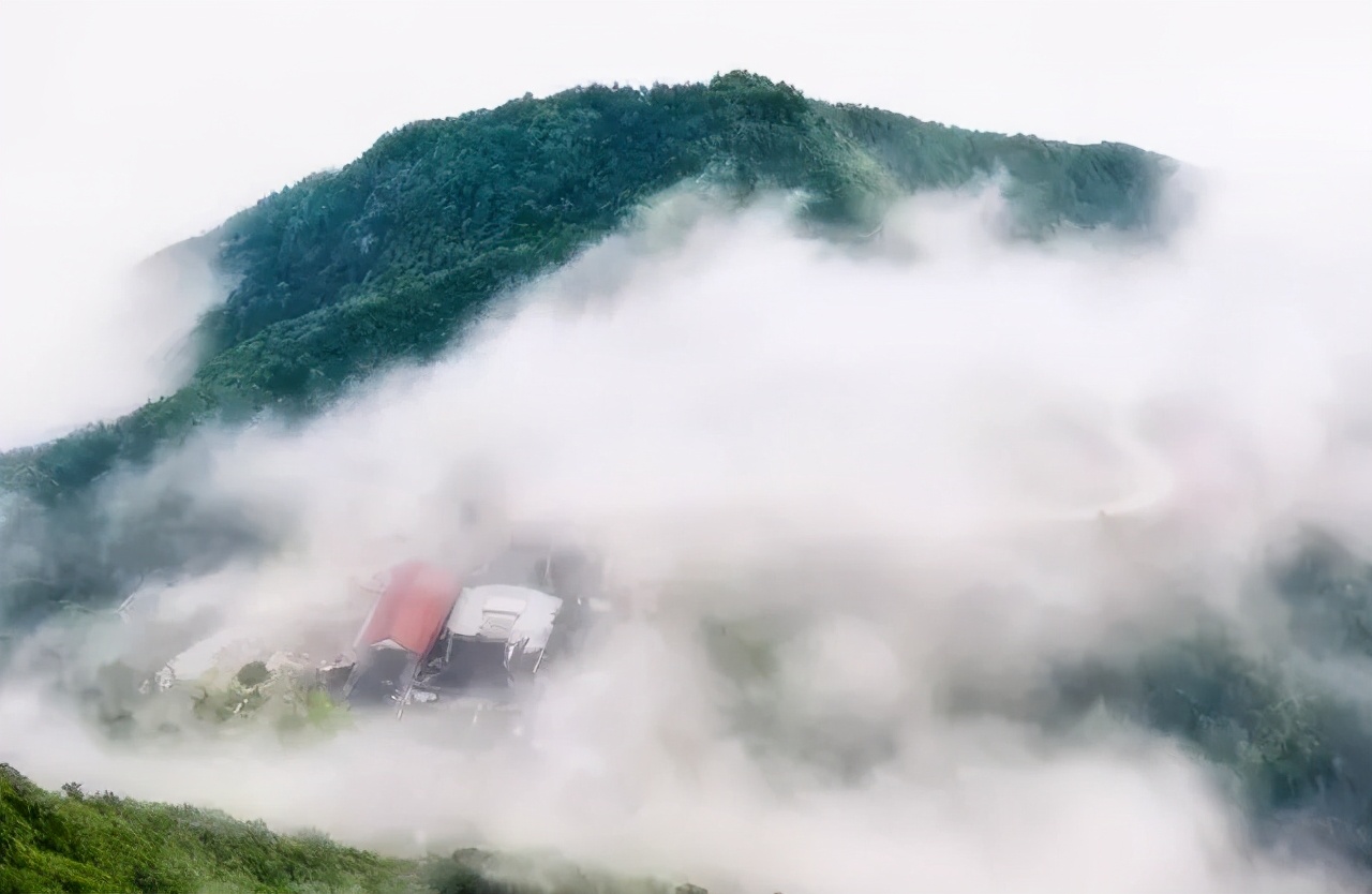 温州好玩的地方推荐吹台山公园,温州吹台山森林民宿门票
