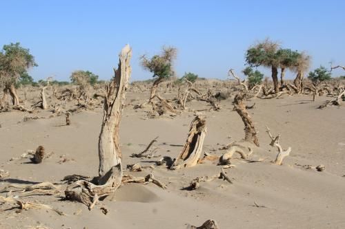 教改20年，三线以下城乡素质教育的问题和希望（原创