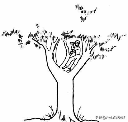 末日丧尸生存小技巧,地球末日生存僵尸如何逃出