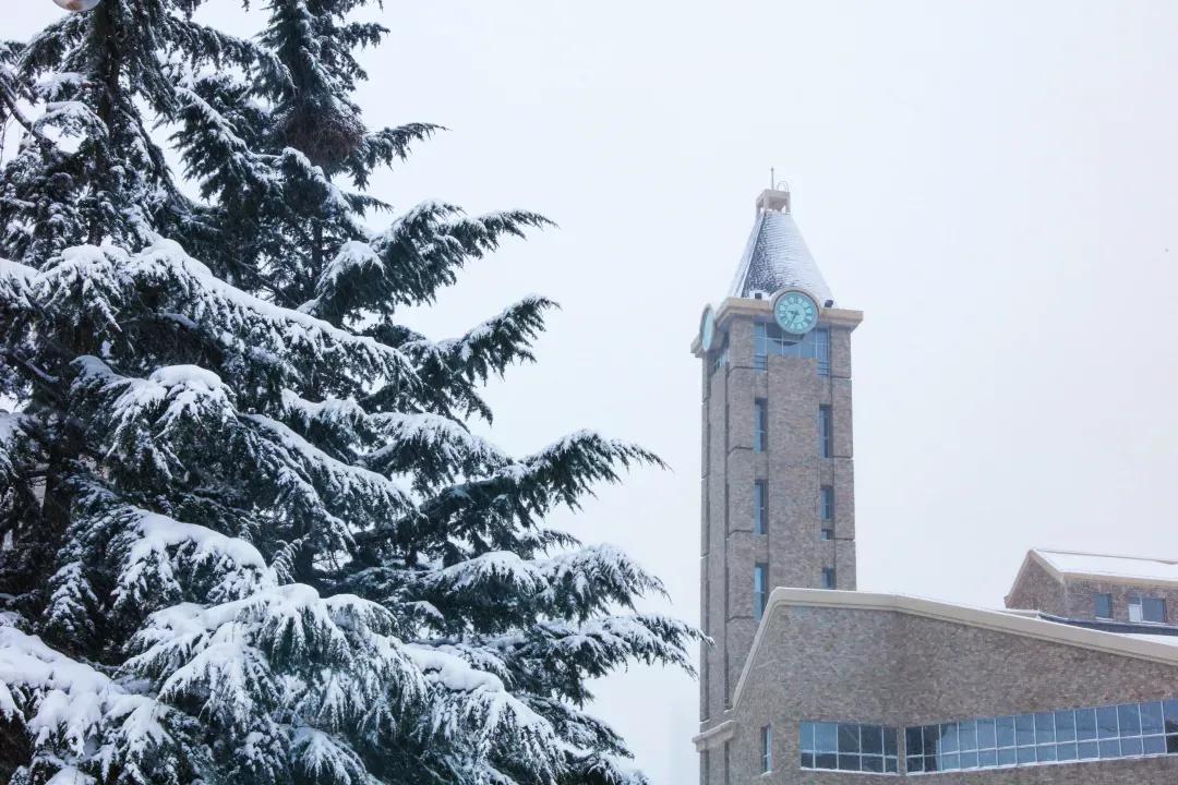 辽宁省民办大学（二）大连东软信息学院