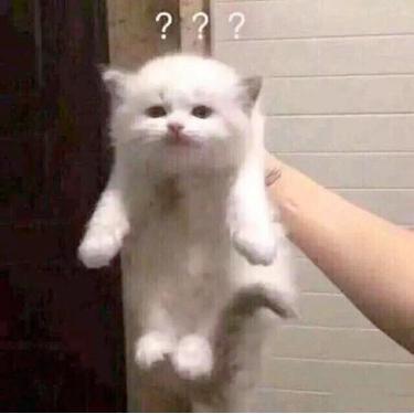 一位减肥伪成功人士的久坐人群防月半指南（附一波良心推荐）