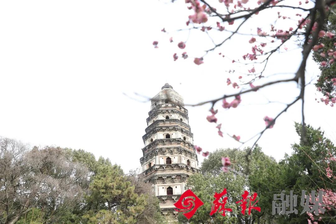 苏州旅游必打卡的10个景点,苏州适合周末放松的景区
