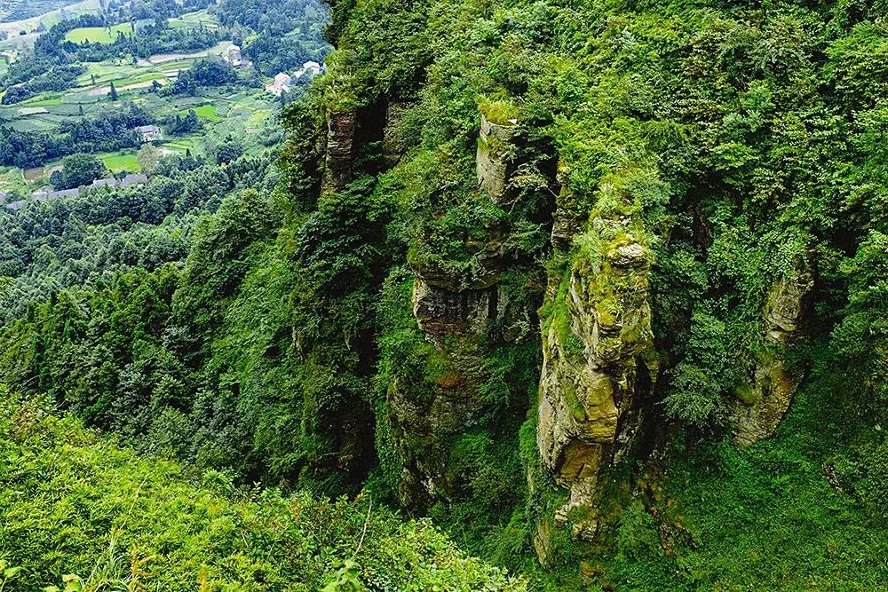 金佛山马嘴二日游攻略,金佛山西门一日游攻略和费用