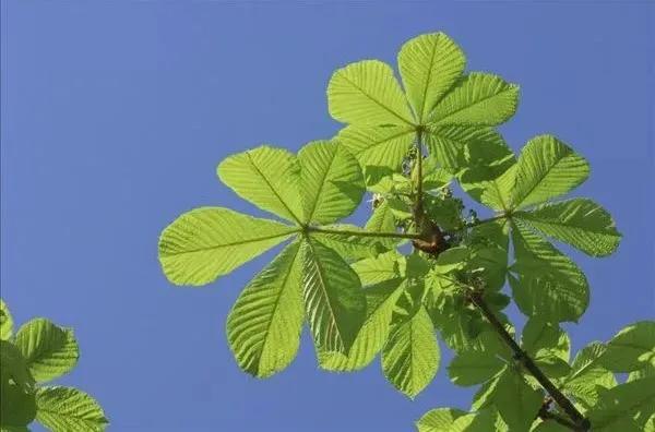 医美收毛孔价格表,医美收毛孔效果