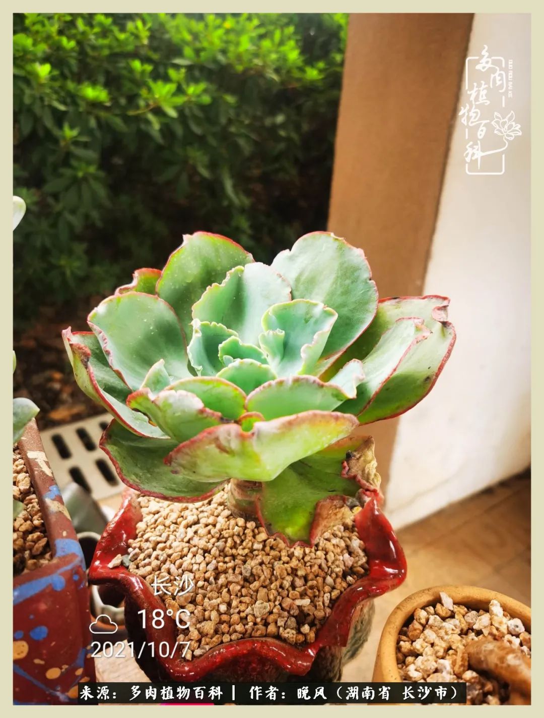 摇身一变成了奶爸,摇身一变成为打工人