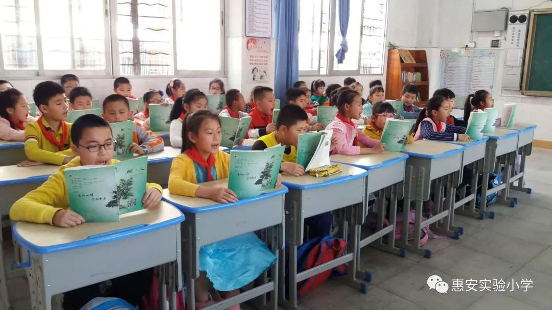 惠安实验小学课堂,实验小学的教育亮点
