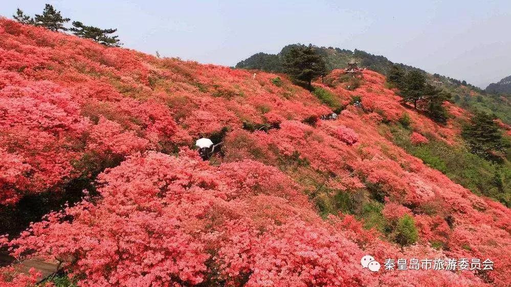 厉害了！我市海港区获“2018年度中国十大诗意小城”称号，河北唯一！