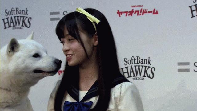 豪车旁边一辆自行车搞笑图,搞笑豪车旁边单车图