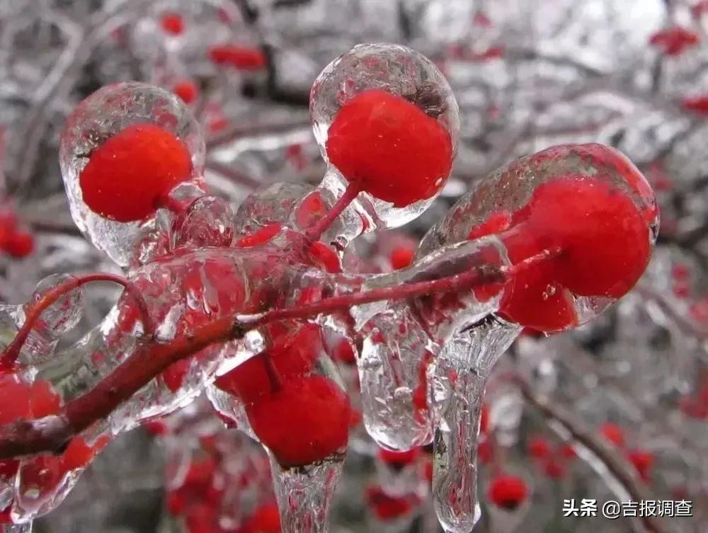 吉林省雪下得多么,吉林省第一场雪预计什么时候