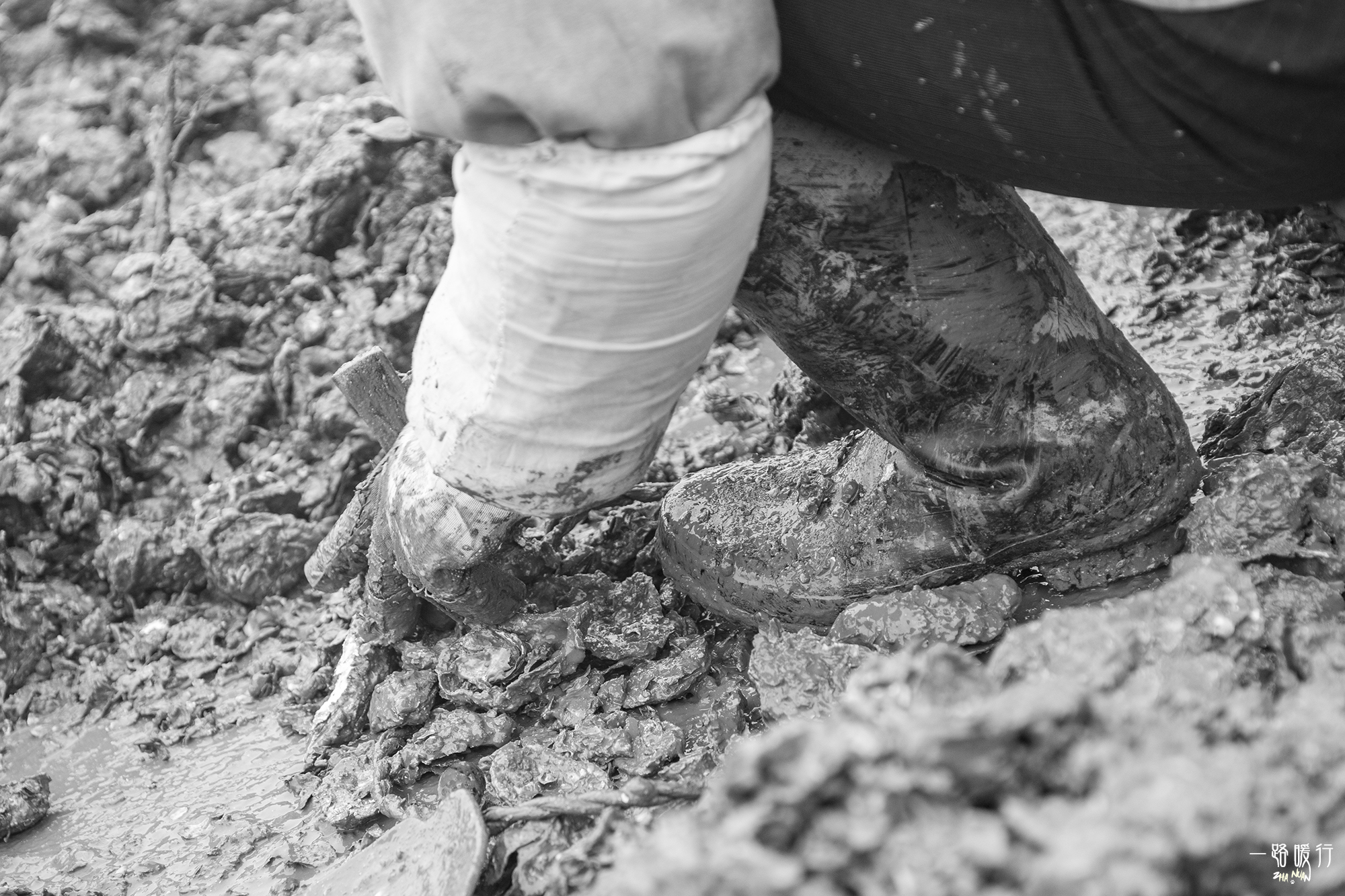 乳山为什么是长寿之乡,威海乳山市的海景房