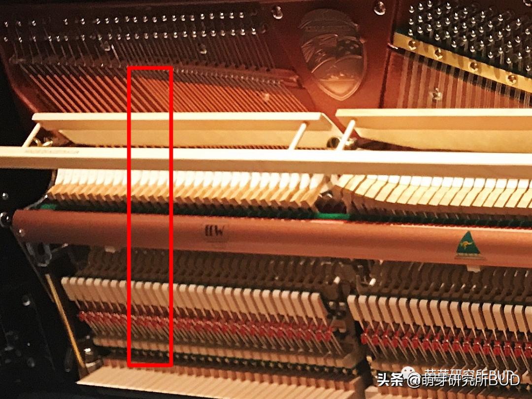 閽㈢惔鐢靛瓙鐞寸數閽㈢惔鍖哄埆,閽㈢惔鐢靛瓙鐞寸數閽㈢惔鍝釜濂藉