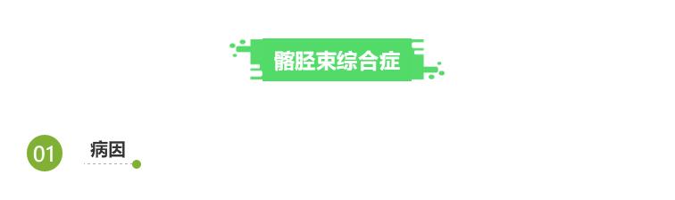 跑步大腿疼和小腿疼有什么区别,跑步之后脚跟疼怎么回事