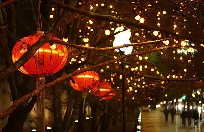 一副好牌打得稀烂！高富帅的“海归”坑了8位年轻女子