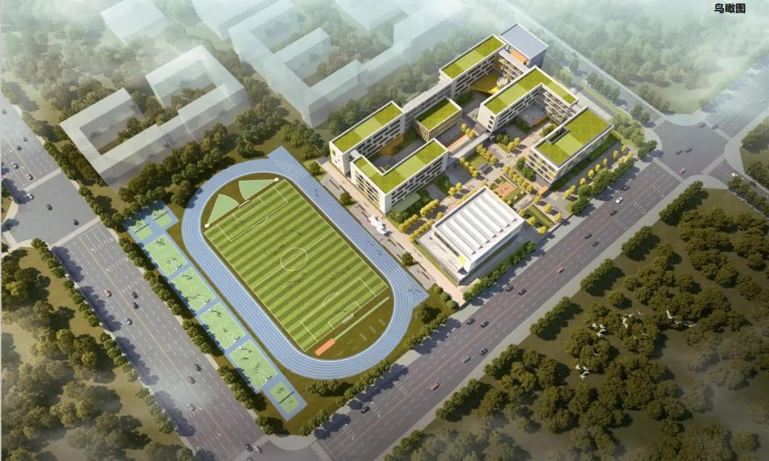 安庆绿地新里城高琦小学分校,高琦小学2018