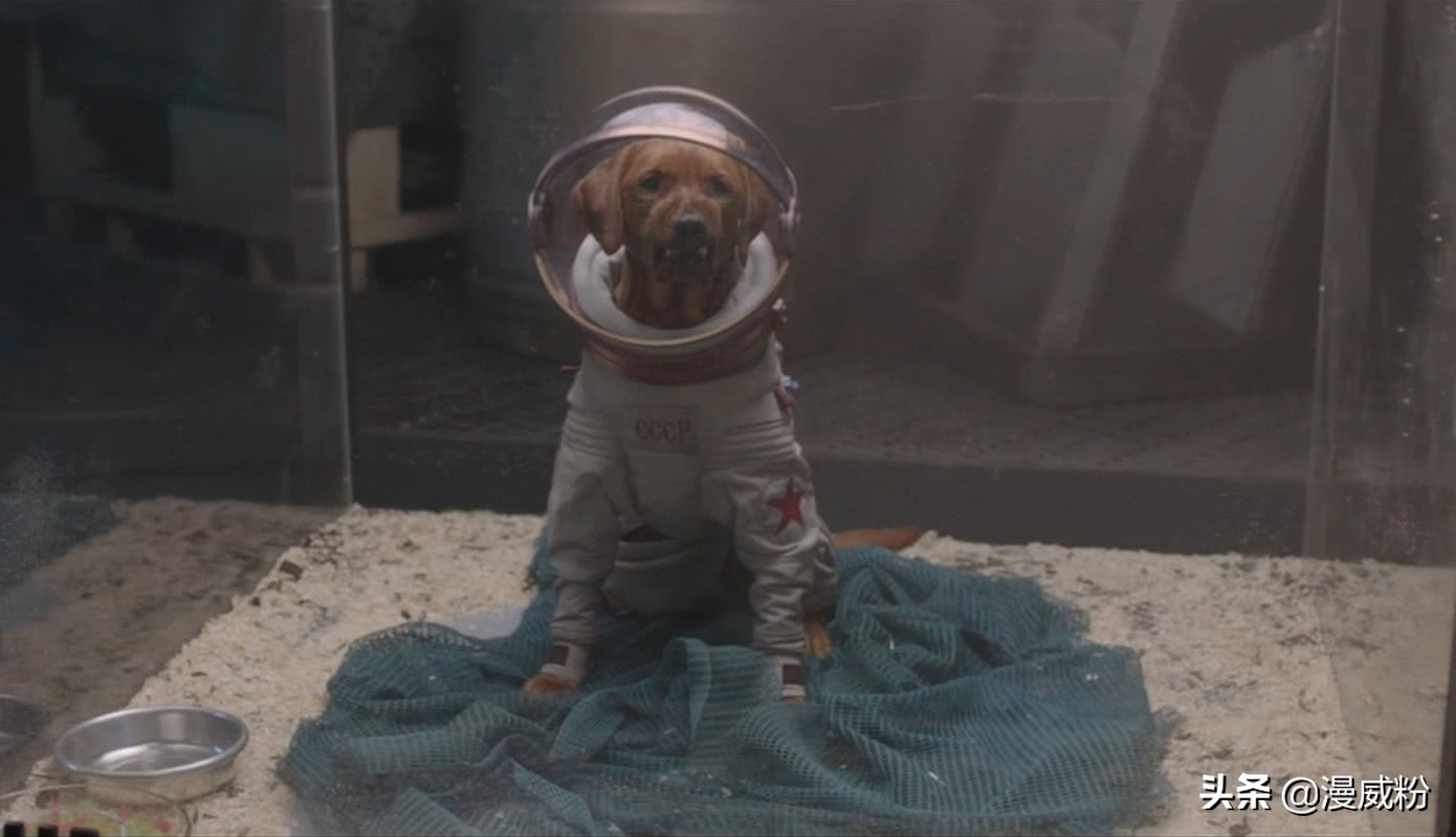 复联4彩蛋英国队长,漫威首映复联4黑寡妇