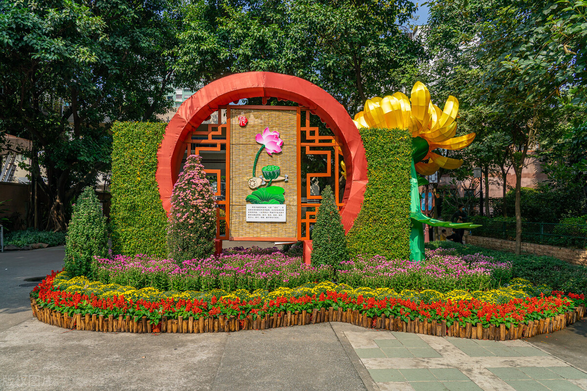 「Hwa叔说广州」桥梁篇:闪耀发展之光的华南大桥