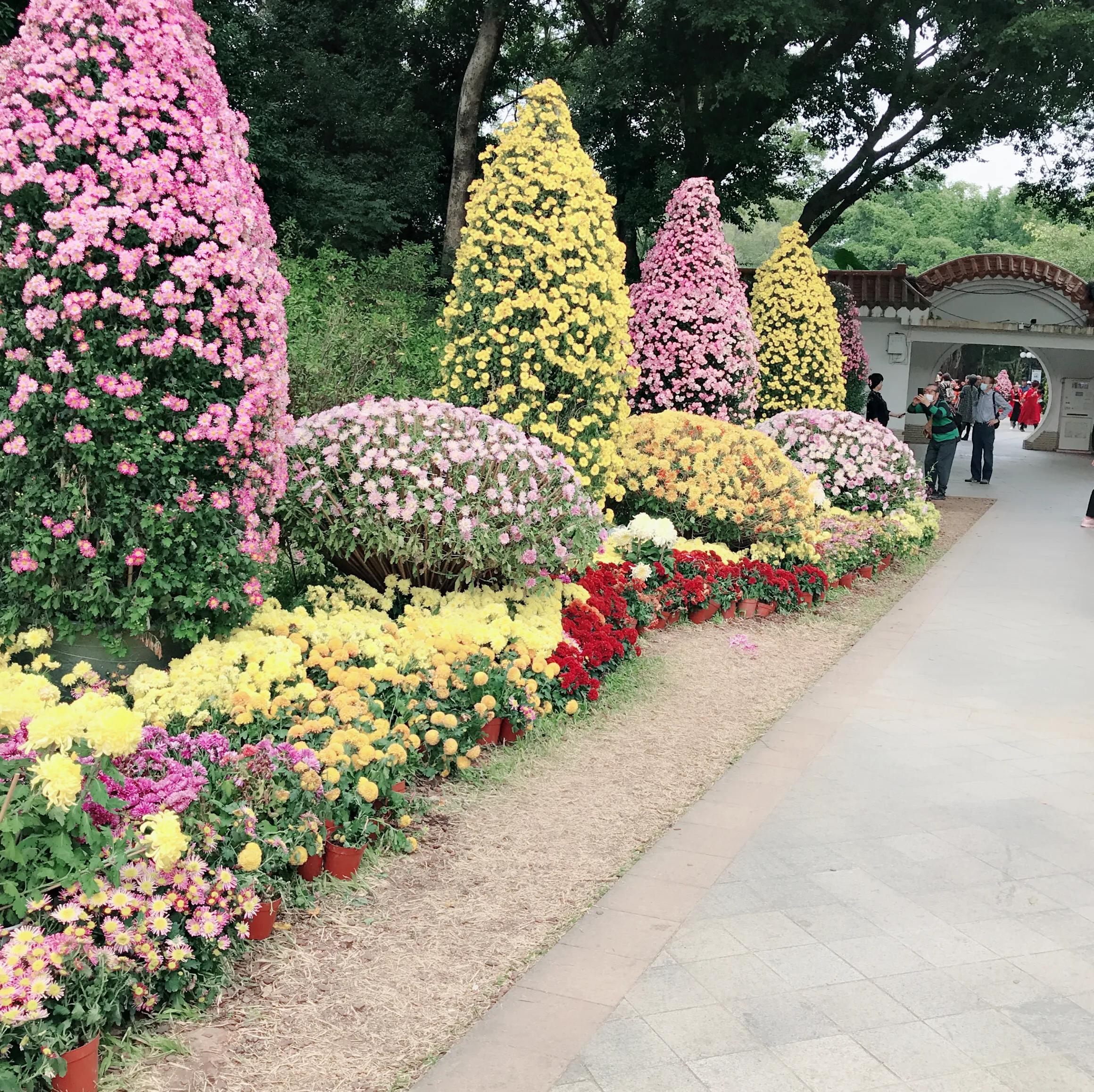 閬涘▋濂藉幓澶勮強鑺卞睍,娣卞湷閬涘▋鐪嬪睍