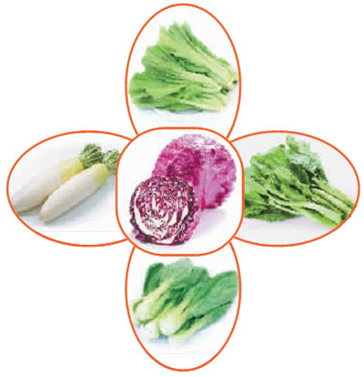 赶紧收了，每天两朵十字花排毒别到病了才后悔