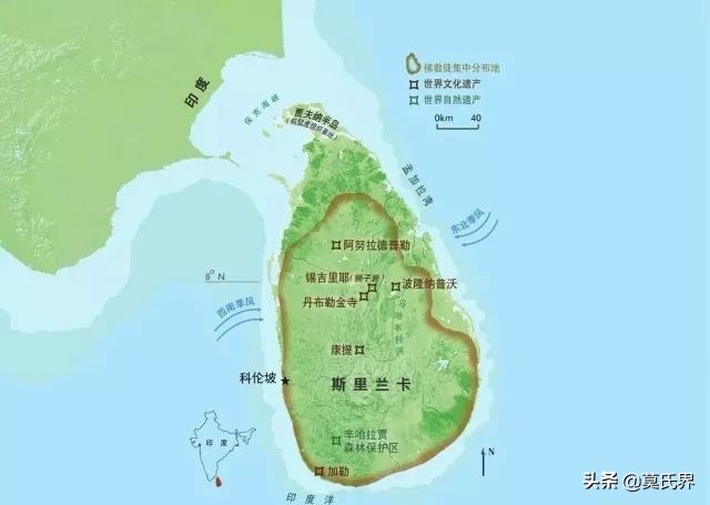 斯里兰卡古老而独特的垂钓方式,斯里兰卡独有的钓鱼方式