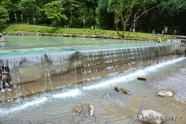 二郎山喇叭河看鹿,二郎山喇叭河看日出攻略