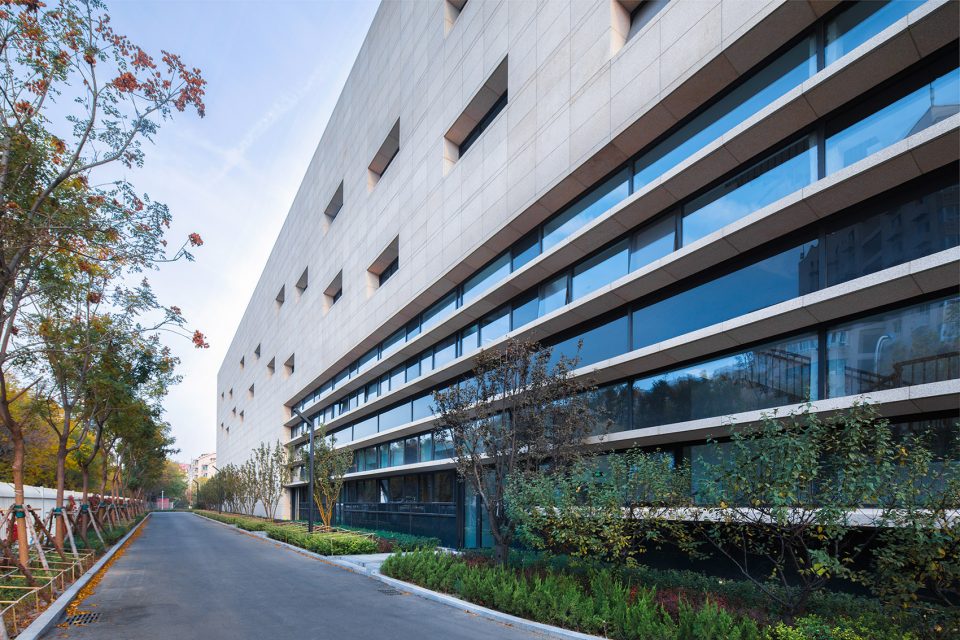 天津泰达一中——神奇的“麻花辫”