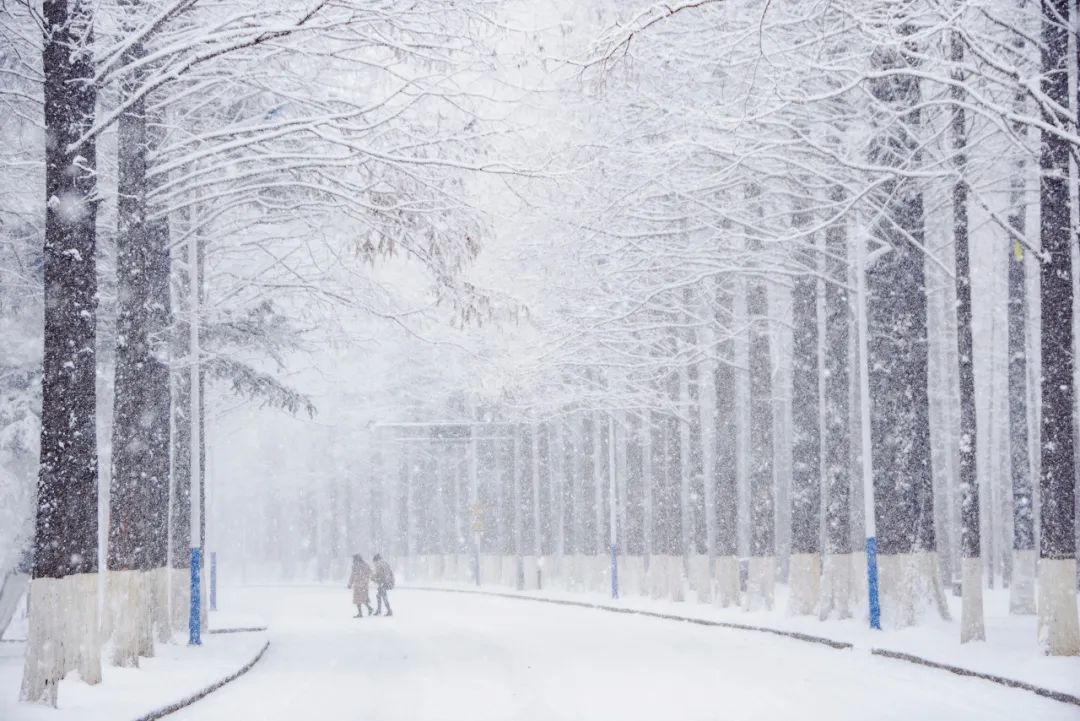 忽然想去旅游了,忽然想去宁波了