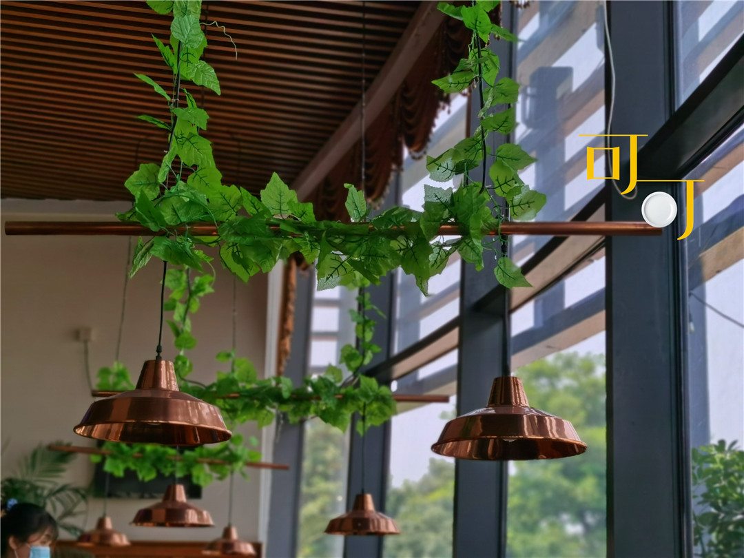 88元一只汉堡长什么样,88元汉堡图片