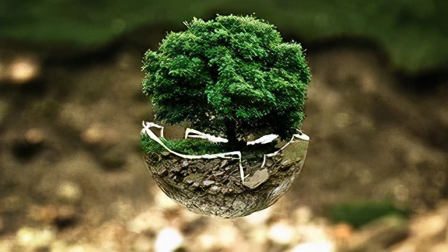 荣格的心理分析与治疗,荣格心理分析学导论笔记