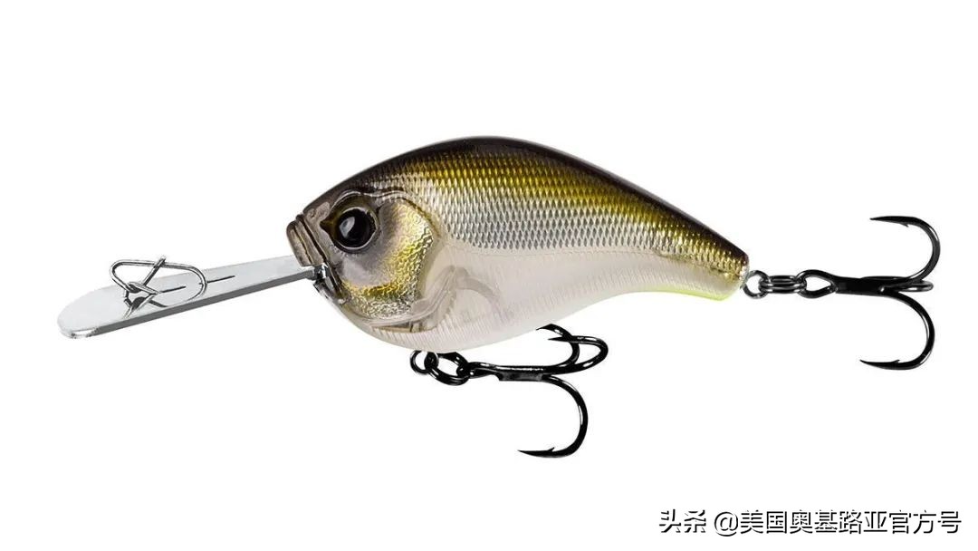 全国渔具展会2021时间表图片,2023国际渔具展会大全一览表