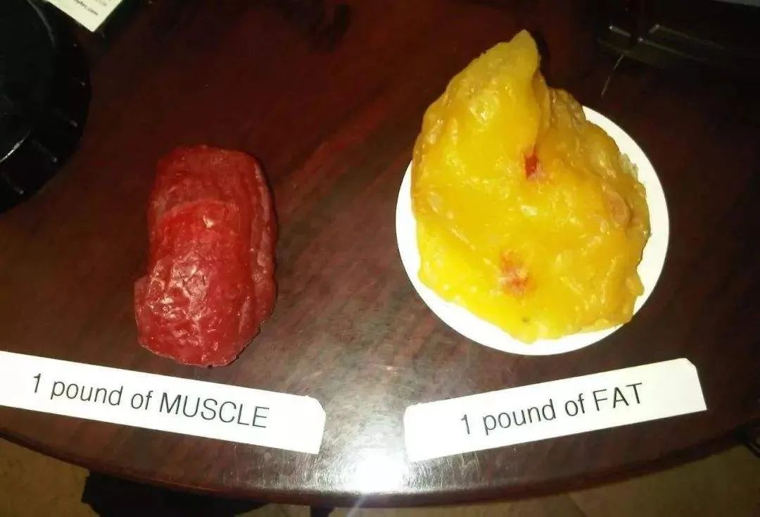 微胖的人为什么特别不容易减肥,微胖的人要如何变得骨感