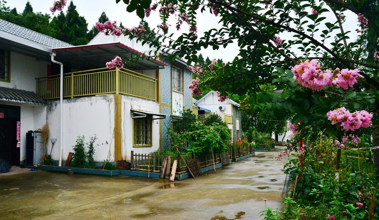 涔愯嚦鑽疯姳鎽勫奖浣滃搧娆ｈ祻,涔愯嚦鍗拌薄鎽勫奖