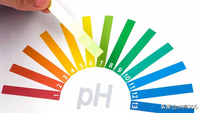 酸碱平衡各种正常数值,人体酸碱平衡的调节主要依靠